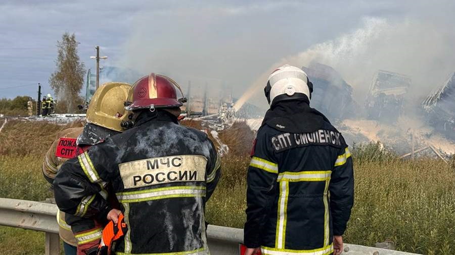 Причиной ДТП с поездом в Смоленской области стал проезд грузовика на красный
