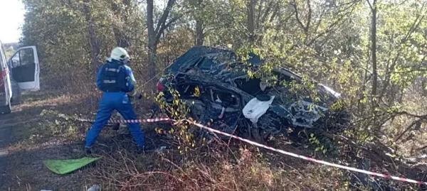 В Самарской области 28 сентября в ДТП около поселка Рощинский погибла девушка
