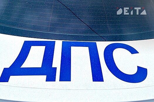 Пешеход-пенсионер и водитель погибли на дорогах Приморья минувшей ночью