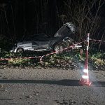 В Новгородской области пьяный водитель врезался в дерево