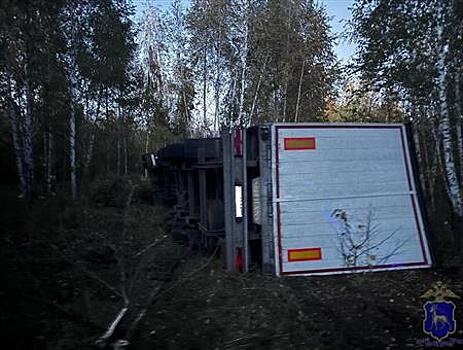В Сызранском районе столкнулись две фуры