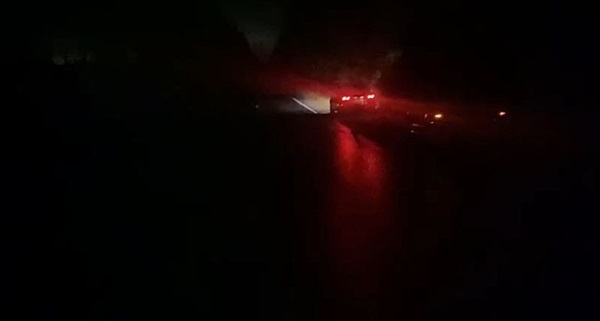 ДТП с пострадавшим случилось в Нижегородской области из-за лося